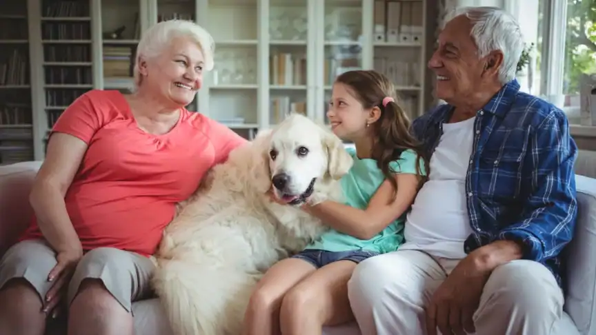 Learn how to set fair noise boundaries at home through communication, clear rules, cooperation, and practical solutions.